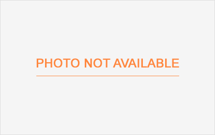 Area: Katy, Texas